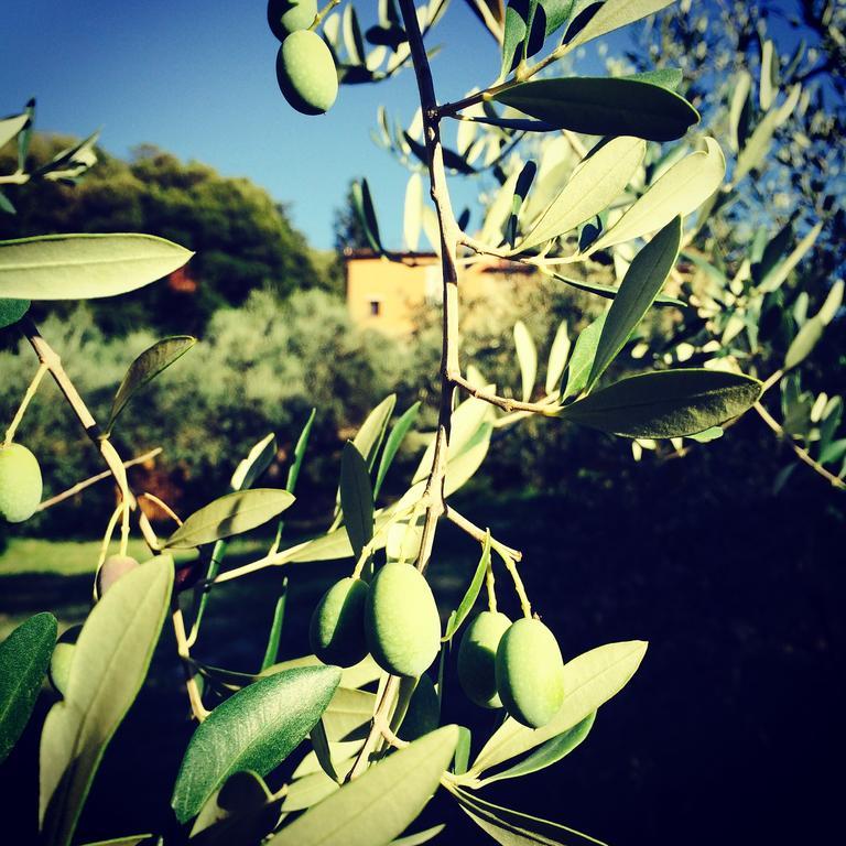 סנטה לוצ'ה La Locanda Del Barbagianni מראה חיצוני תמונה